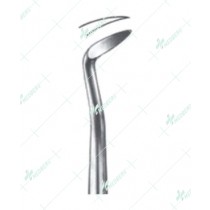 Barry Root Elevators