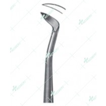 Barry Root Elevators