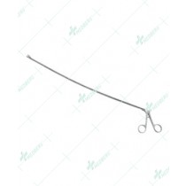 Biopotome and Aortic Dilators
