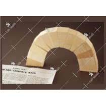 Catenary Arch
