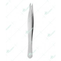 Cilia Forceps