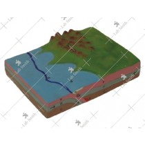 Convergent Plate Boundaries