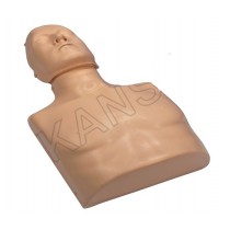 CPR Traing Mankin (Torso)