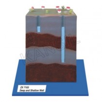 Deep And Shallow Well Model