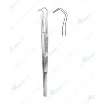 Dental Tweezers, College Serrated, 14.5 cm