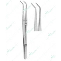 Dental Tweezers, College Serrated, 15 cm