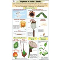 Dispersal of fruits & Seeds Chart