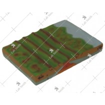 Divergent Plate Boundaries