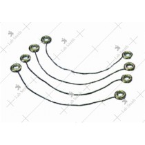 Elastic Cords