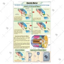 Electric Motor