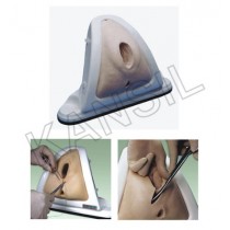 Episiotomy Training Simulator Model