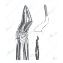Extracting Forceps - English Pattern, A upper roots