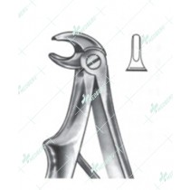 Extracting Forceps - English Pattern, Klein lower incisors