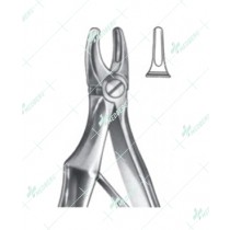 Extracting Forceps - English Pattern, Klein upper incisors