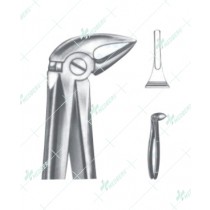 Extracting Forceps - English Pattern, L lower roots