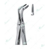 Extracting Forceps - English Pattern, L lower roots