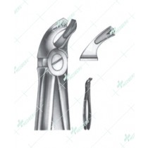 Extracting Forceps - English Pattern, lower molars