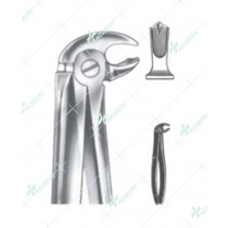 Extracting Forceps - English Pattern, lower molars