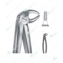 Extracting Forceps - English Pattern, lower premolars