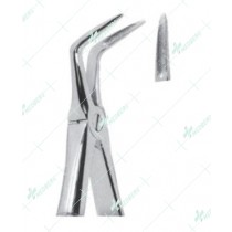 Extracting Forceps - English Pattern, lower roots with serrated tips