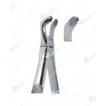 Extracting Forceps - English Pattern, lower third molars
