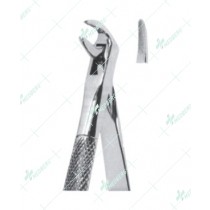 Extracting Forceps - English Pattern, M lower roots