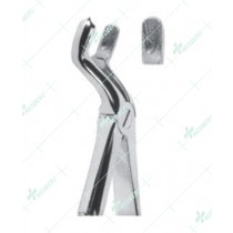 Extracting Forceps - English Pattern, ½ R upper third molars, right