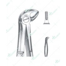 Extracting Forceps - English Pattern, S lower roots
