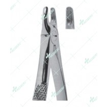 Extracting Forceps - English Pattern, Upper canines with serrated tips
