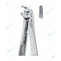 Extracting Forceps - Mead Pattern, Lower incisors, premolar and roots