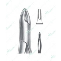Extracting Forceps – American Pattern, B Upper roots, anterior
