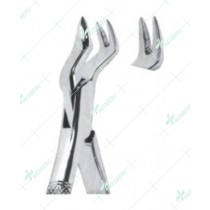 Extracting Forceps – American Pattern, L Upper molars, left