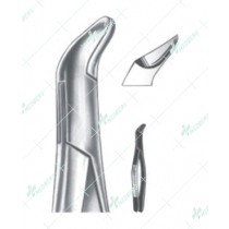 Extracting Forceps – American Pattern, Lower wisdoms physick