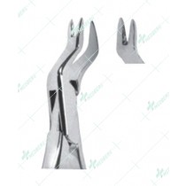 Extracting Forceps – American Pattern, R Upper molars, right