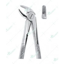 Extracting Forceps – English Pattern, Lower incisors and canines with serrated tips