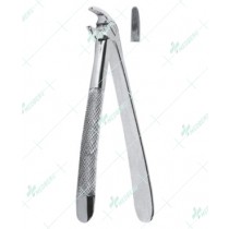 Extracting Forceps – English Pattern, Lower premolars with serrated tips