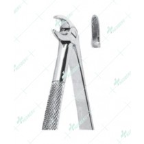 Extracting Forceps – English Pattern, S Lower roots with serrated tips