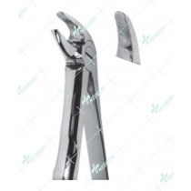Extracting Forceps, Lower incisors and canines with serrated tips