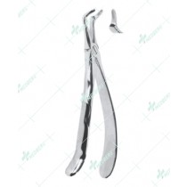 Extracting Forceps, Lower roots with serrated tips