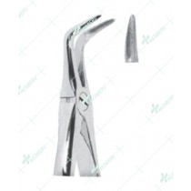 Extracting Forceps, Lower roots with serrated tips