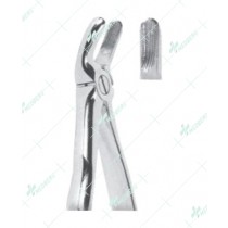 Extracting Forceps, Upper molars, left with serrated tips