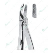 Extracting Forceps, Upper premolars with serrated tips