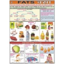 Fats Chart