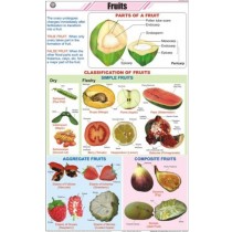 Fruits Chart
