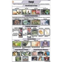Fungi Charts