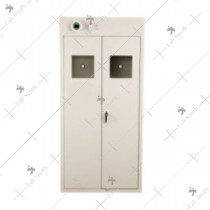 Gas Cylinder Storage Cabinet (2-Cylinder)