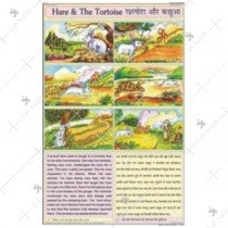Hare & The Tortoise Chart