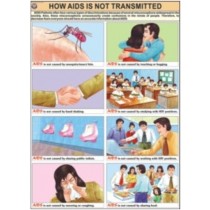 How Aids is not transmitted