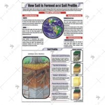 How Soil is formed and soil profile Chart
