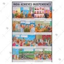 India Achieves Independence Chart